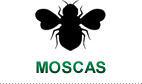 Moscas